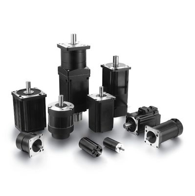 9 Крутящий момент Riorand 350W 6-60V PWM DC бесшовный электродвигатель гладкий для оптимальной производительности