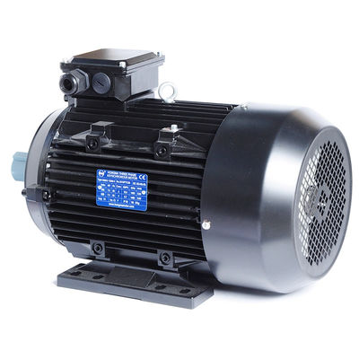 3-фазный индукционный двигатель изоляции класса F 2KG для популярных стиральных машин