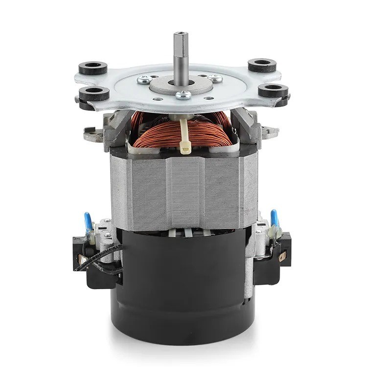 IE 1 Эффективность 110V 220V AC Моторная машина для беговой дорожки 50/60Hz Мотор однофазного AC